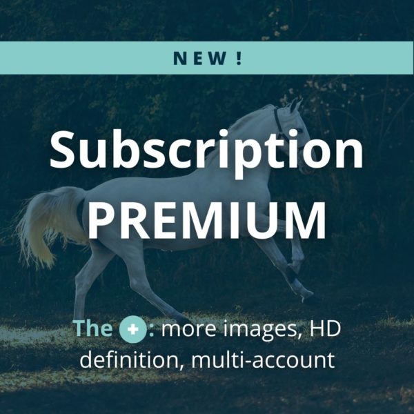 Abbonamento - Premium